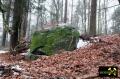 Findling 5 bei Haselberg nahe Wierzen in der Märkischen Schweiz, Brandenburg, (D) (3) 24. Januar 2016.JPG